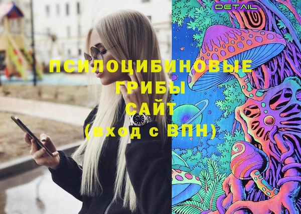дживик Заводоуковск