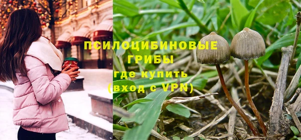 дживик Заводоуковск