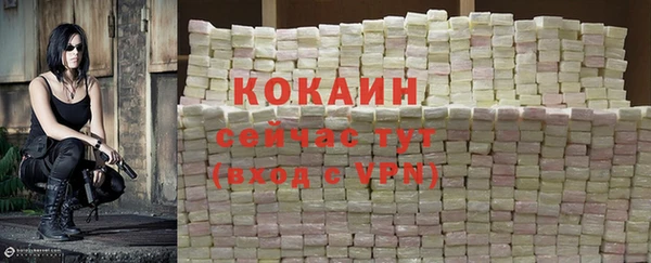 дживик Заводоуковск
