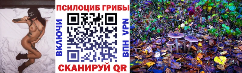 Купить закладки  Бирюсинск  Галлюциногенные грибы Psilocybine cubensis 