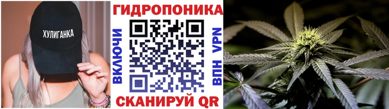 Купить  Бирюсинск  Бошки марихуана Amnesia 